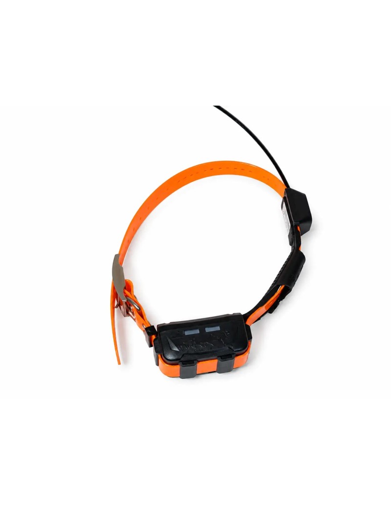 Collare GPS eSEEK - 199 €