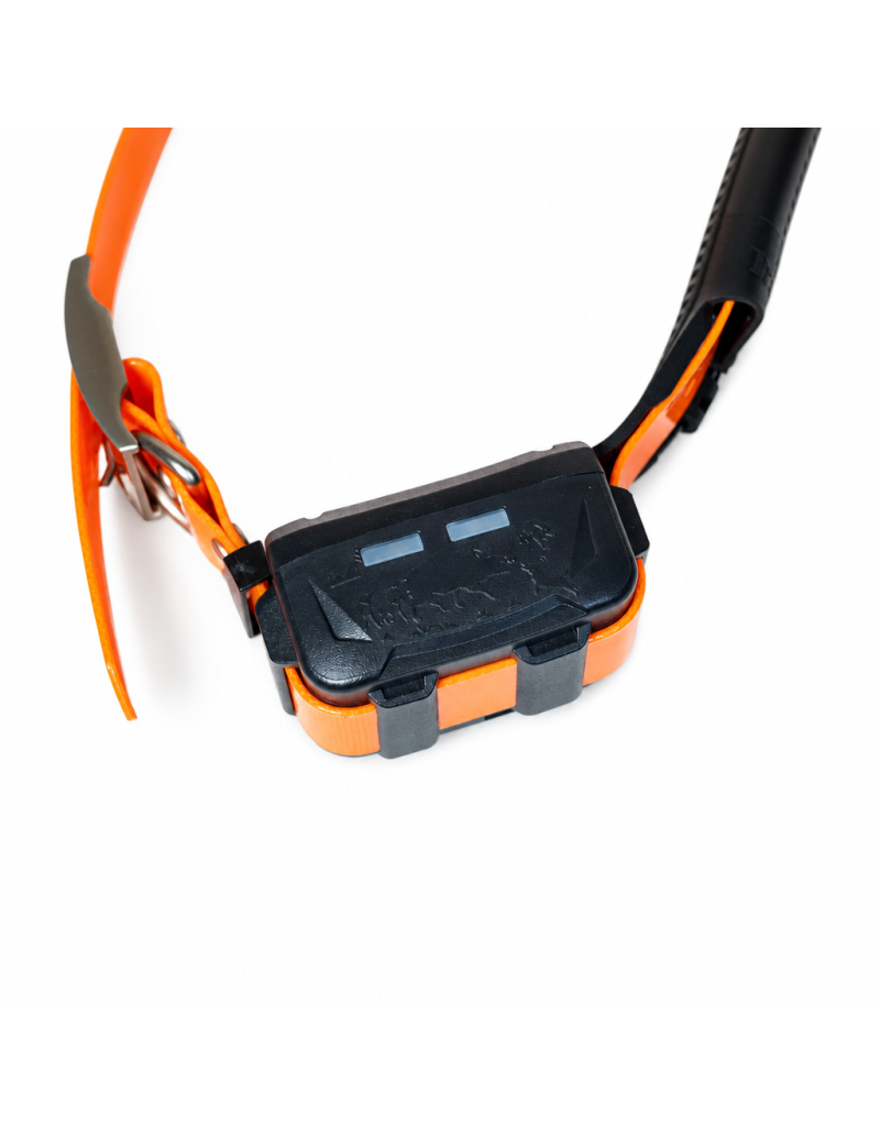 Collare GPS eSEEK - 199 €