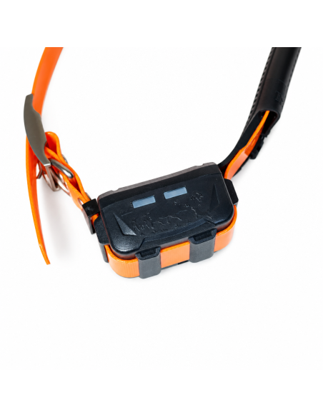 Collare GPS eSEEK - 199 €