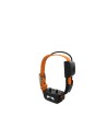 Collar GPS eSEEK mini